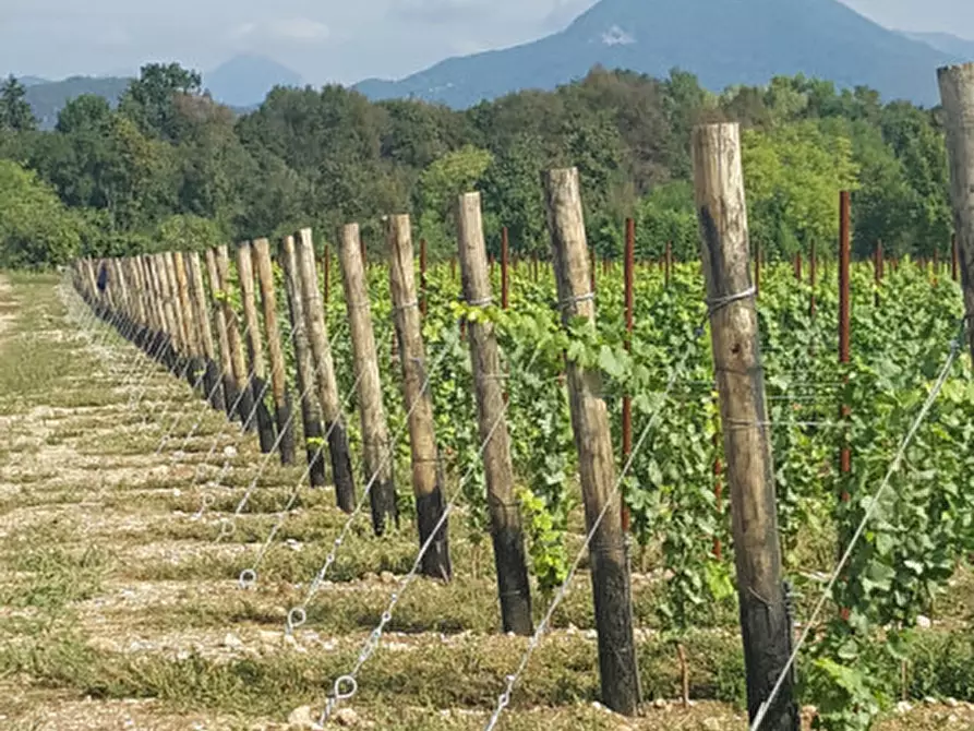 Immagine 1 di Terreno in vendita  a Treviso