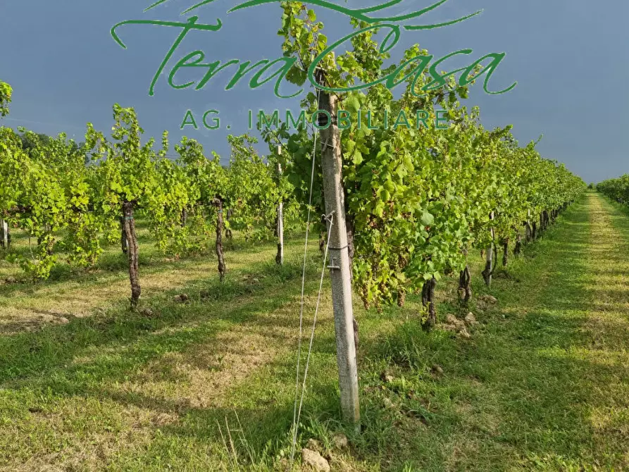 Immagine 1 di Terreno in vendita  a Motta Di Livenza