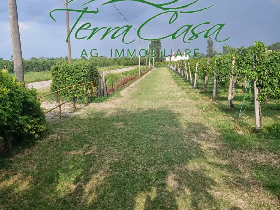Immagine 2 di Terreno in vendita  a Motta Di Livenza