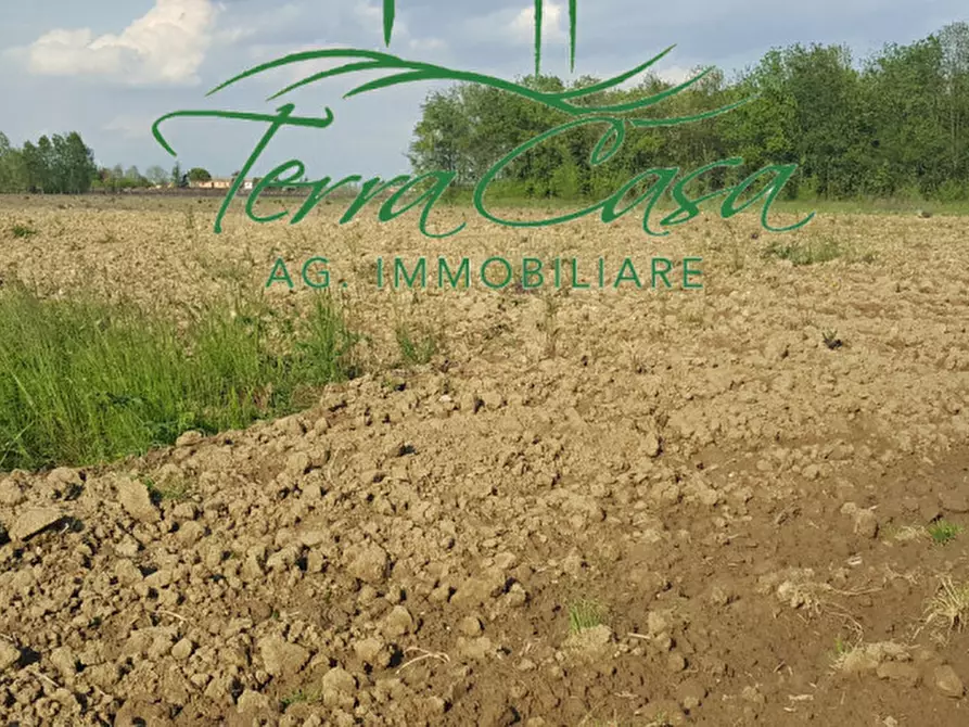 Immagine 2 di Terreno in vendita  a Casier