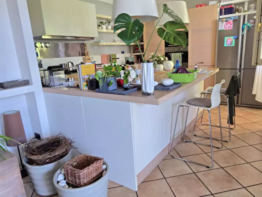 Immagine 3 di Casa indipendente in vendita  a Salgareda