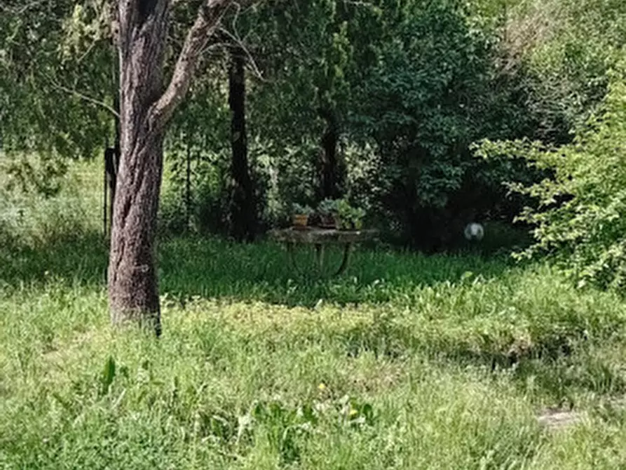 Immagine 5 di Rustico / casale in vendita  in Borgata Camboira 3 (Villar Foccardo) a Villar Focchiardo