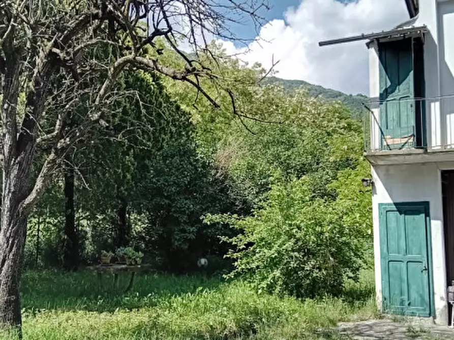 Immagine 7 di Rustico / casale in vendita  in Borgata Camboira 3 (Villar Foccardo) a Villar Focchiardo