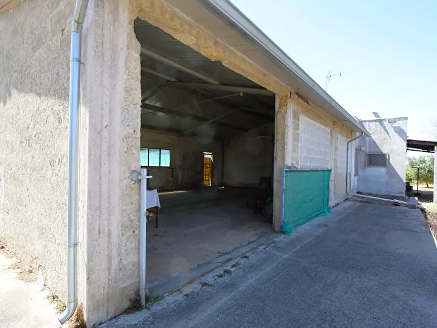 Immagine 7 di Villa in vendita  in Via Covile a Casarano