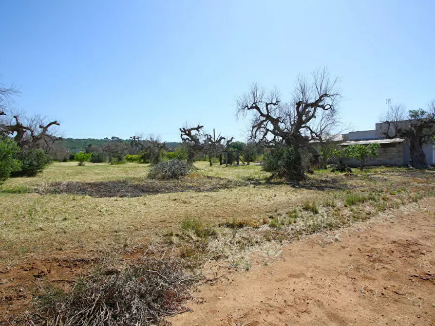 Immagine 9 di Villa in vendita  in Via Covile a Casarano
