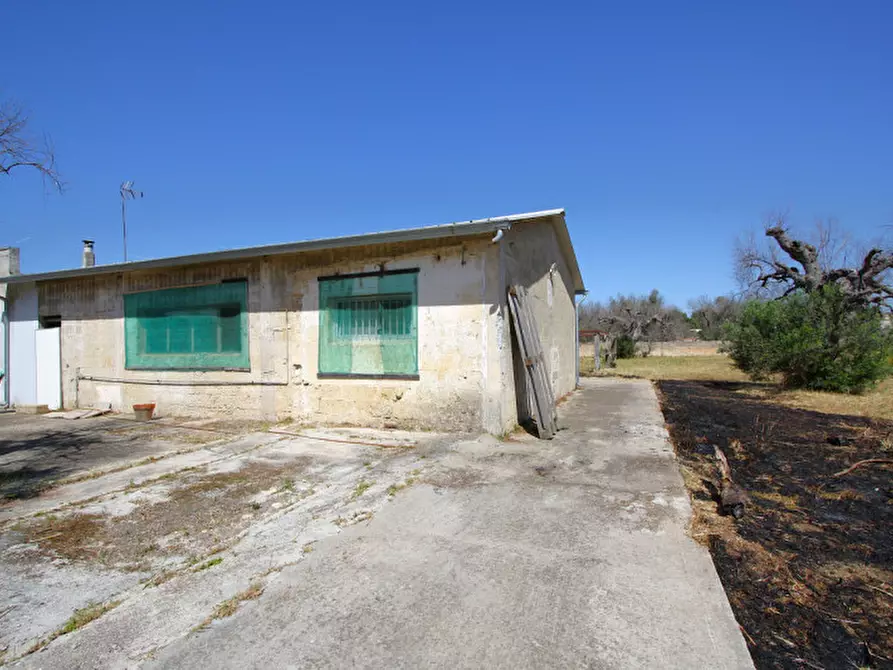 Immagine 25 di Villa in vendita  in Via Covile a Casarano