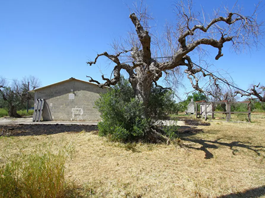 Immagine 26 di Villa in vendita  in Via Covile a Casarano