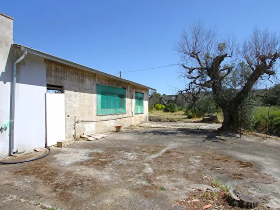 Immagine 28 di Villa in vendita  in Via Covile a Casarano