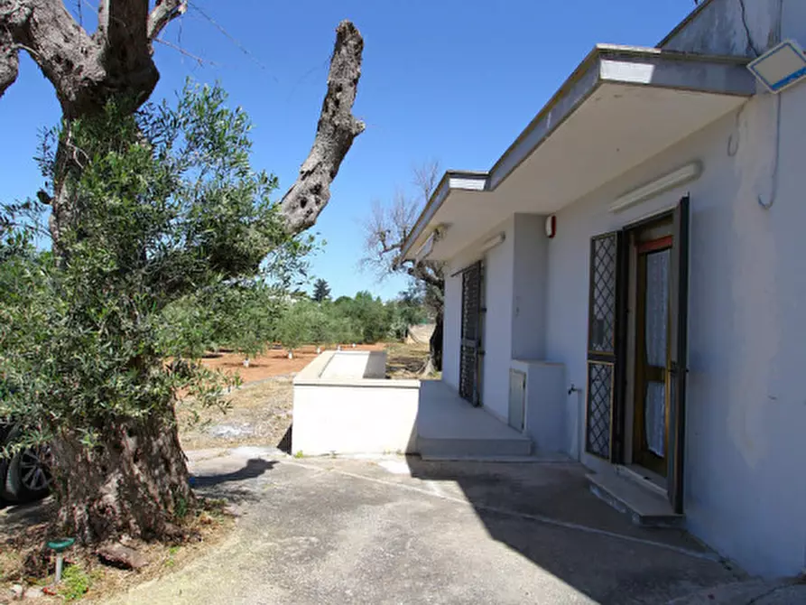 Immagine 29 di Villa in vendita  in Via Covile a Casarano