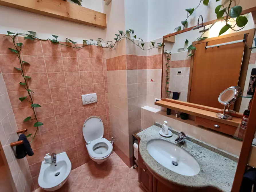 Immagine 8 di Appartamento in vendita  a Predaia