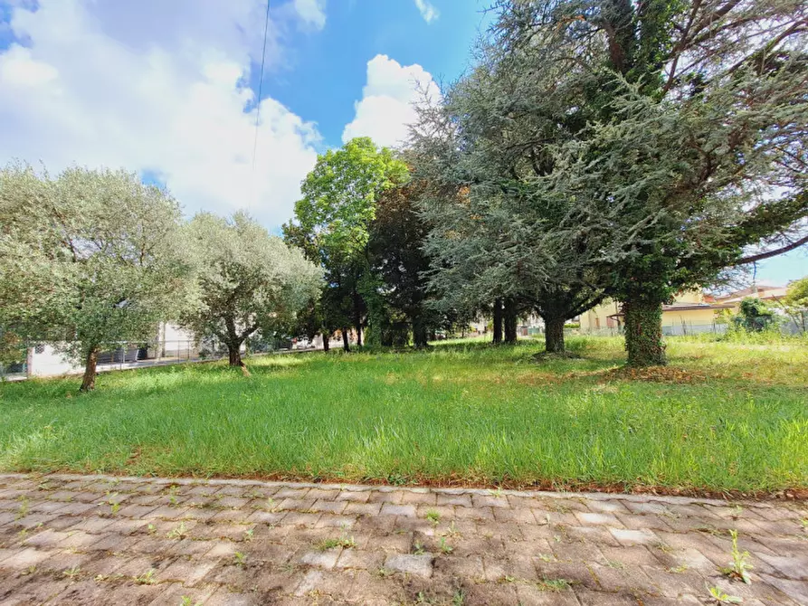 Immagine 2 di Terreno in vendita  in via Livel 73 a Cappella Maggiore