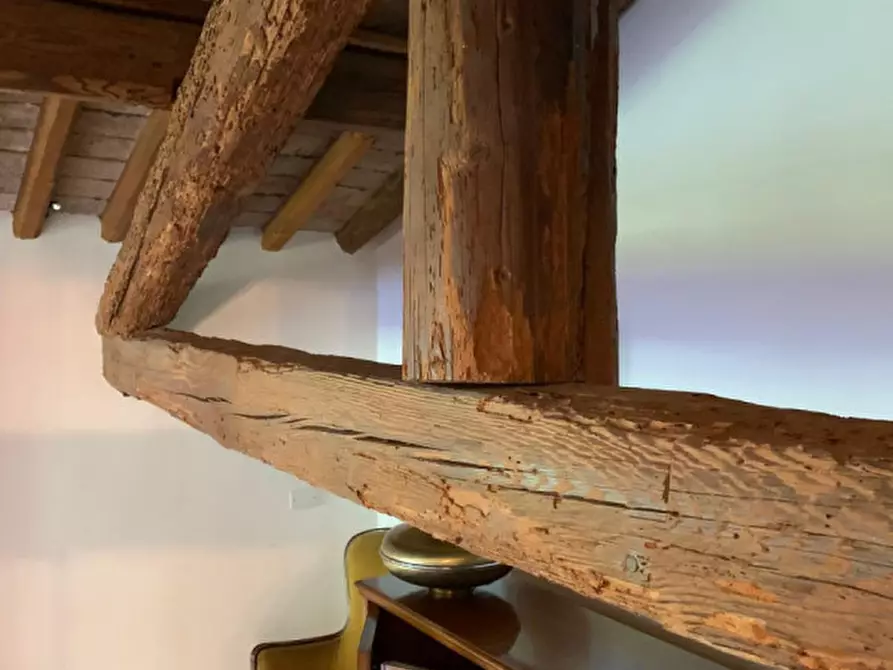 Immagine 19 di Appartamento in vendita  in Via G. Marconi a Albignasego