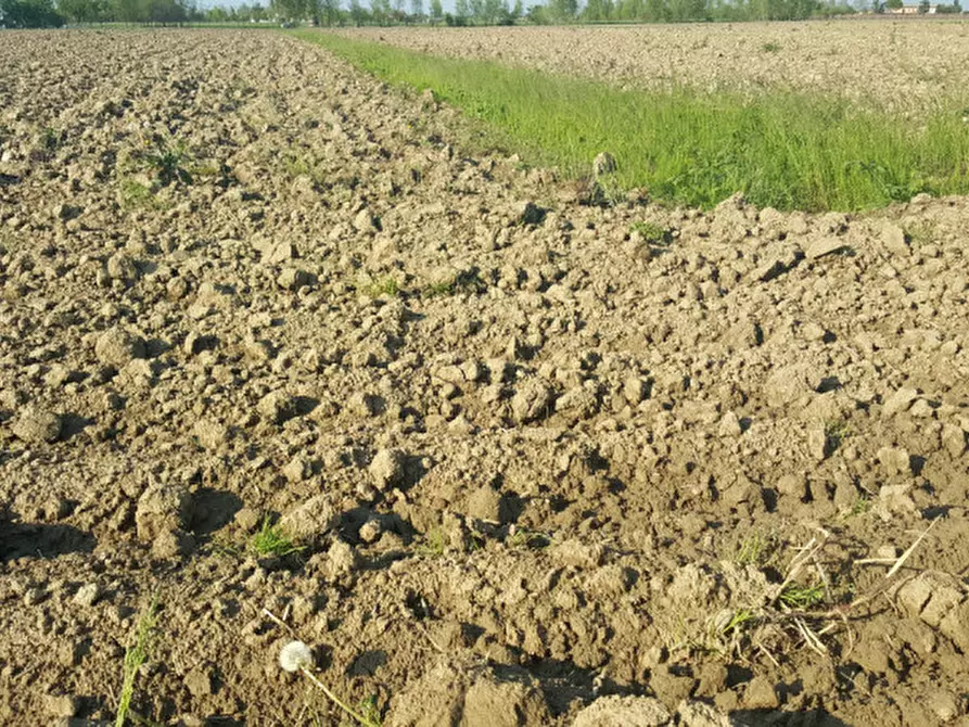 Immagine 1 di Terreno in vendita  a Portogruaro