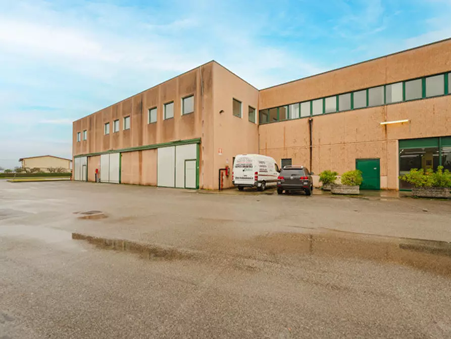 Immagine 5 di Ufficio in vendita  in Via Giorgio la Pira a San Donà Di Piave