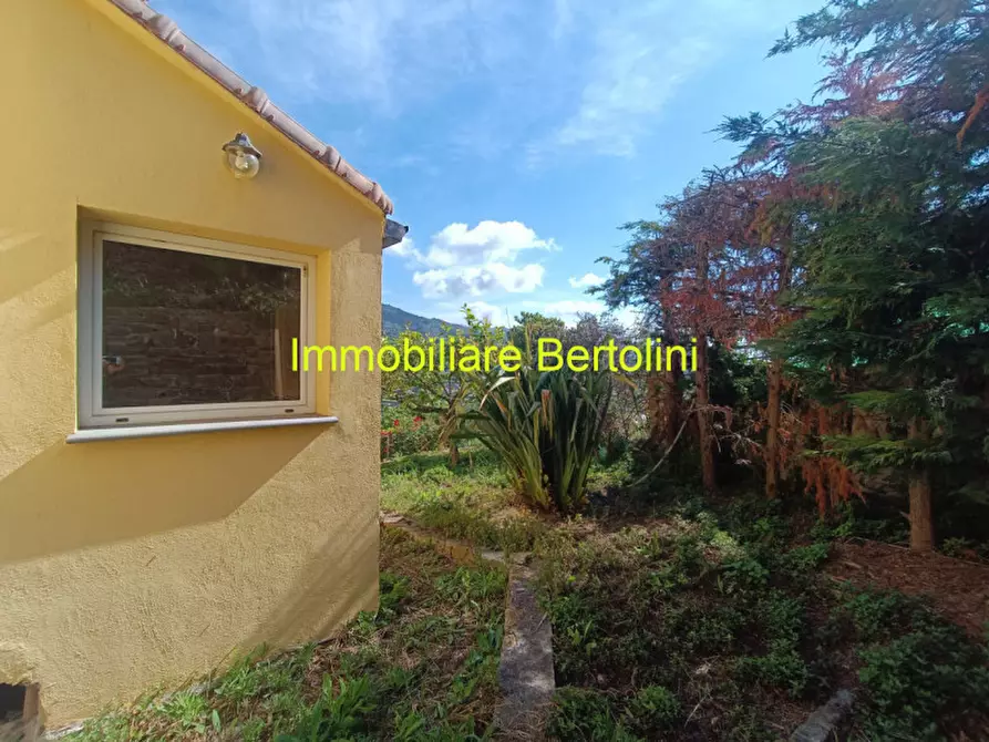 Immagine 18 di Casa indipendente in vendita  in San Bartolomeo a San Remo