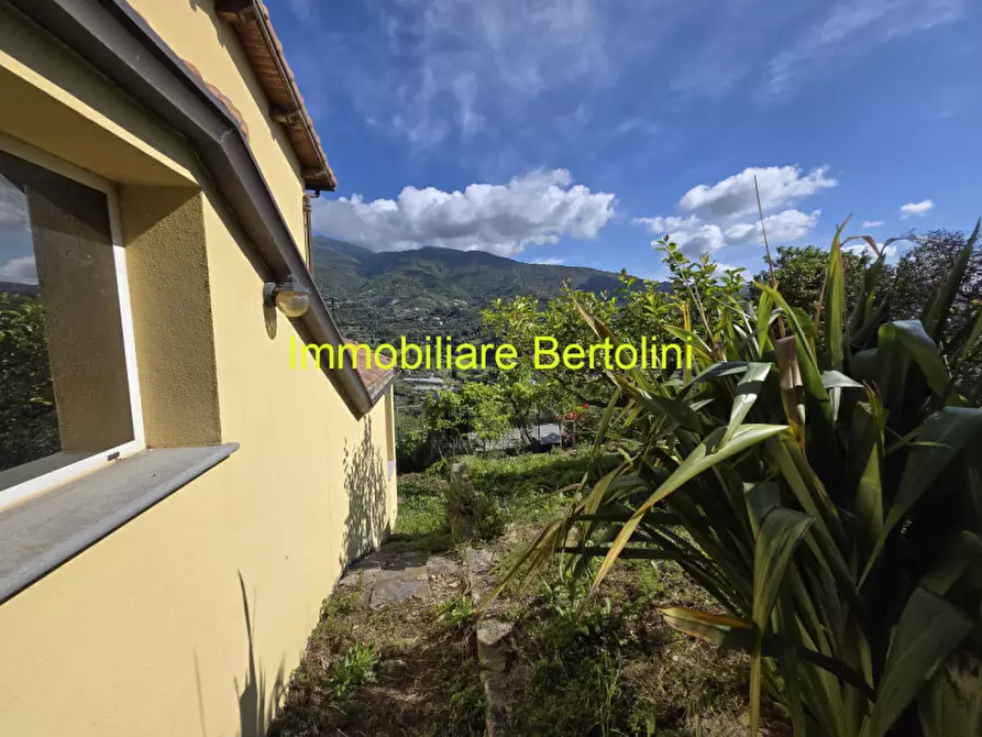 Immagine 38 di Casa indipendente in vendita  in San Bartolomeo a San Remo
