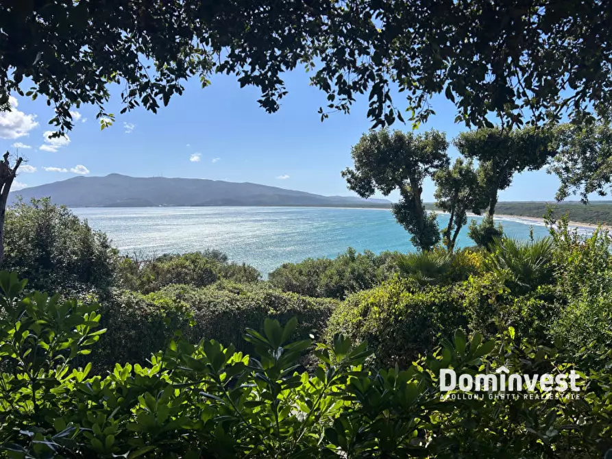 Immagine 2 di Appartamento in vendita  in via delle mimose a Orbetello