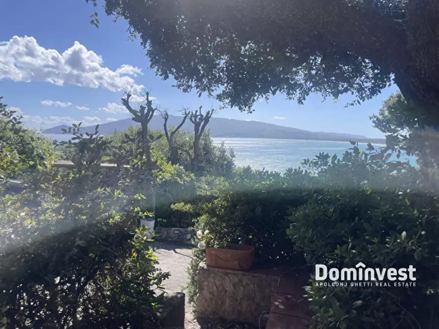 Immagine 3 di Appartamento in vendita  in via delle mimose a Orbetello