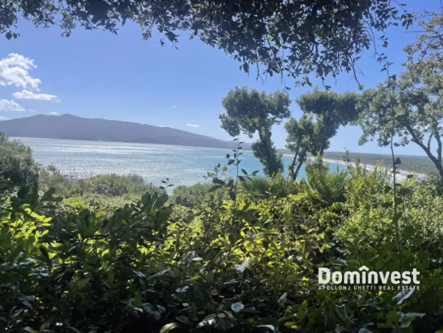 Immagine 4 di Appartamento in vendita  in via delle mimose a Orbetello