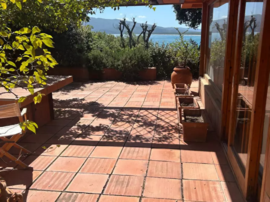 Immagine 18 di Appartamento in vendita  in via delle mimose a Orbetello
