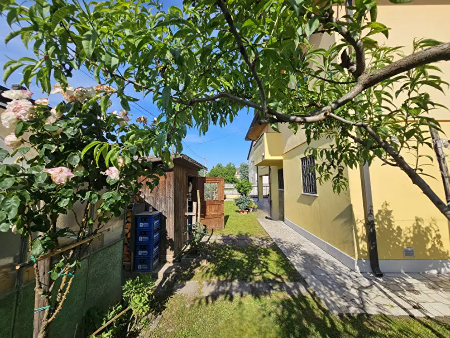 Immagine 10 di Casa bifamiliare in vendita  in VIA TIGLI a Ospedaletto Euganeo