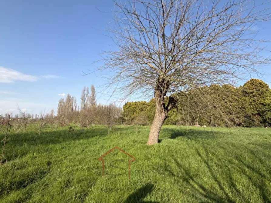 Immagine 9 di Terreno in vendita  in Via Nazionale a Mira