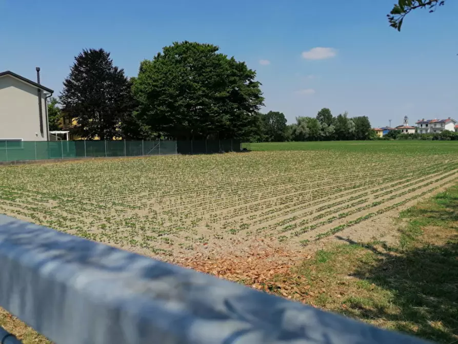 Immagine 3 di Terreno in vendita  in Via Pelosa a Padova