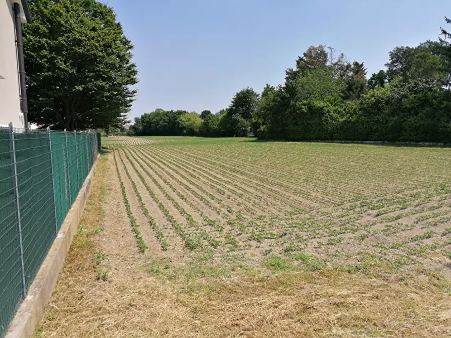 Immagine 4 di Terreno in vendita  in Via Pelosa a Padova