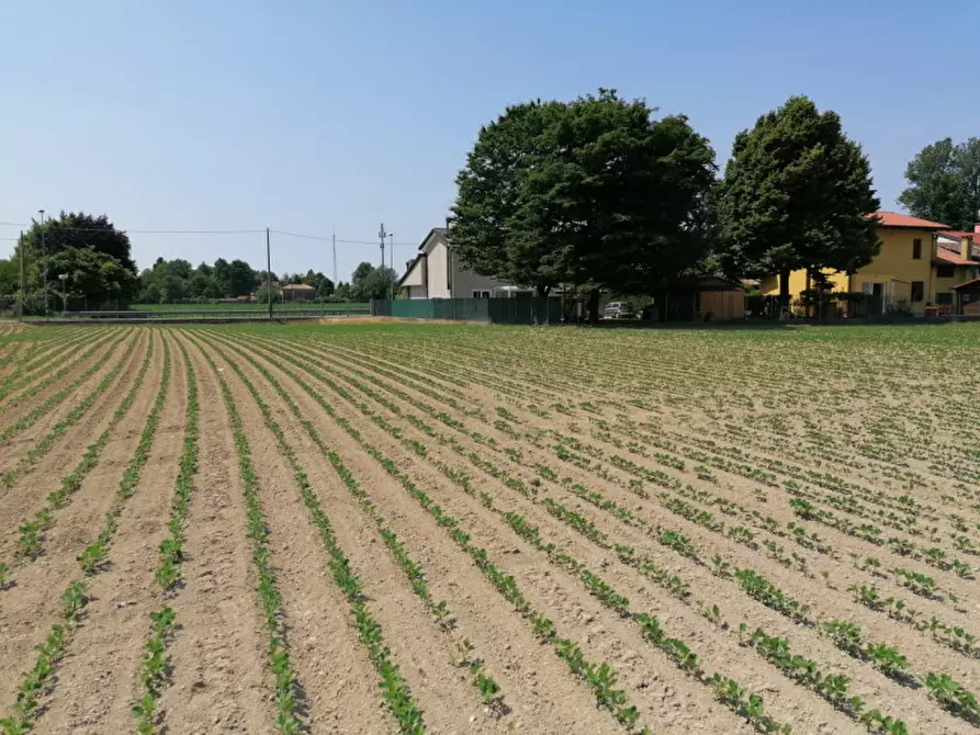 Immagine 7 di Terreno in vendita  in Via Pelosa a Padova