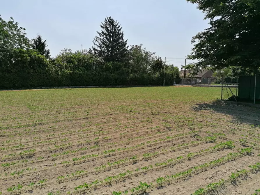 Immagine 8 di Terreno in vendita  in Via Pelosa a Padova