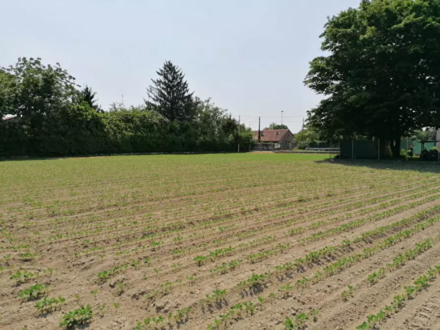 Immagine 9 di Terreno in vendita  in Via Pelosa a Padova