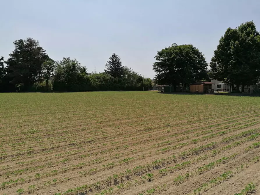 Immagine 10 di Terreno in vendita  in Via Pelosa a Padova