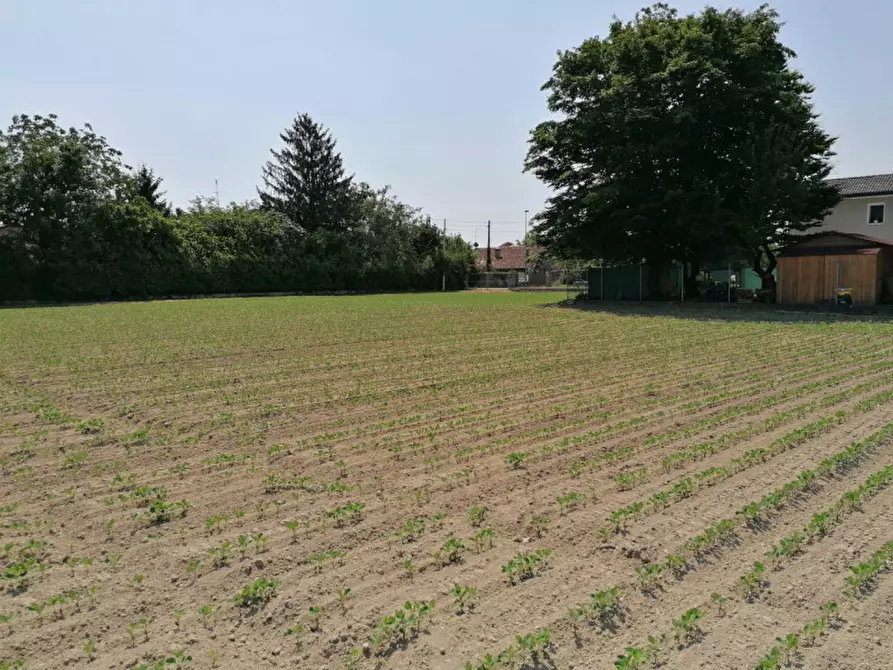 Immagine 12 di Terreno in vendita  in Via Pelosa a Padova