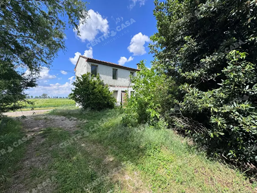 Immagine 3 di Casa indipendente in vendita  in via valle a Legnago