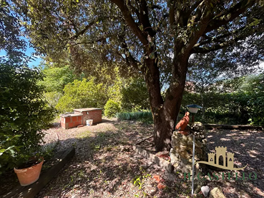 Immagine 3 di Casa indipendente in vendita  a Castiglione Del Lago