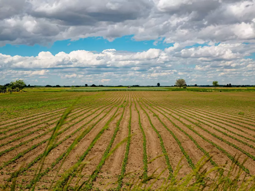 Immagine 1 di Terreno in vendita  in cocomaro a Ferrara