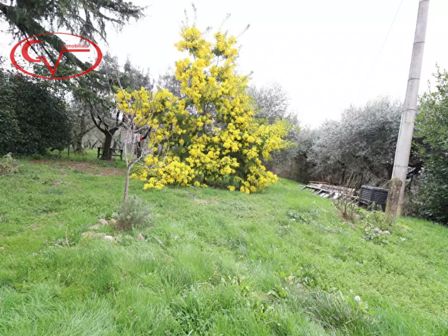Immagine 4 di Villa in affitto  in via di caposelvi a Montevarchi