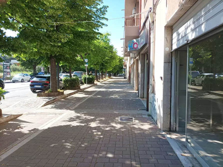 Immagine 9 di Negozio in vendita  in V.LE G. D'ANNUNZIO 241 a Pescara