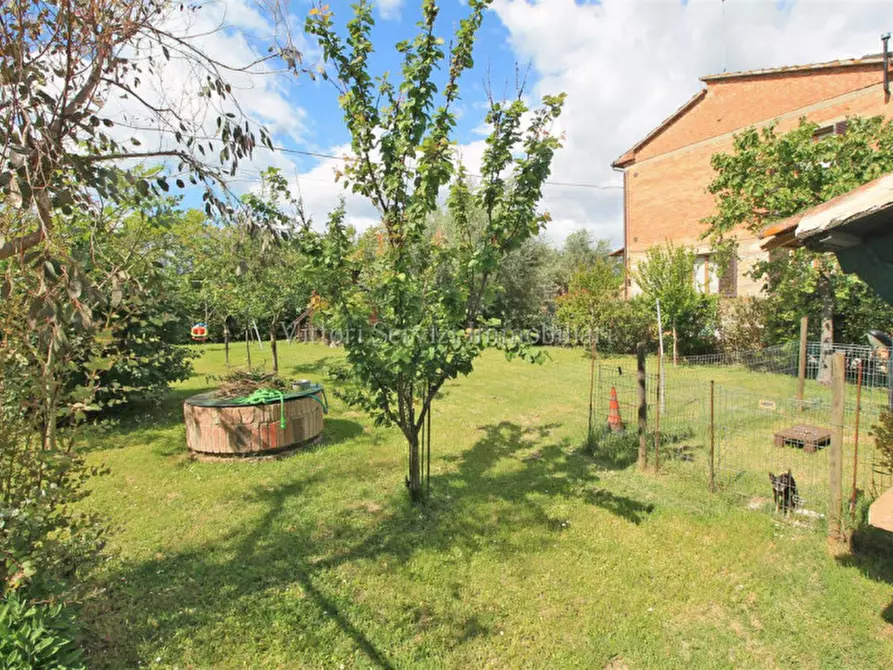Immagine 22 di Casa bifamiliare in vendita  in via caselle a Torrita Di Siena