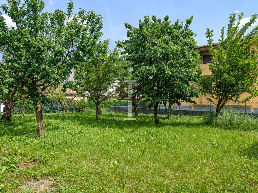 Immagine 30 di Casa indipendente in vendita  in Via Piazza Cimberle 37 a Mussolente