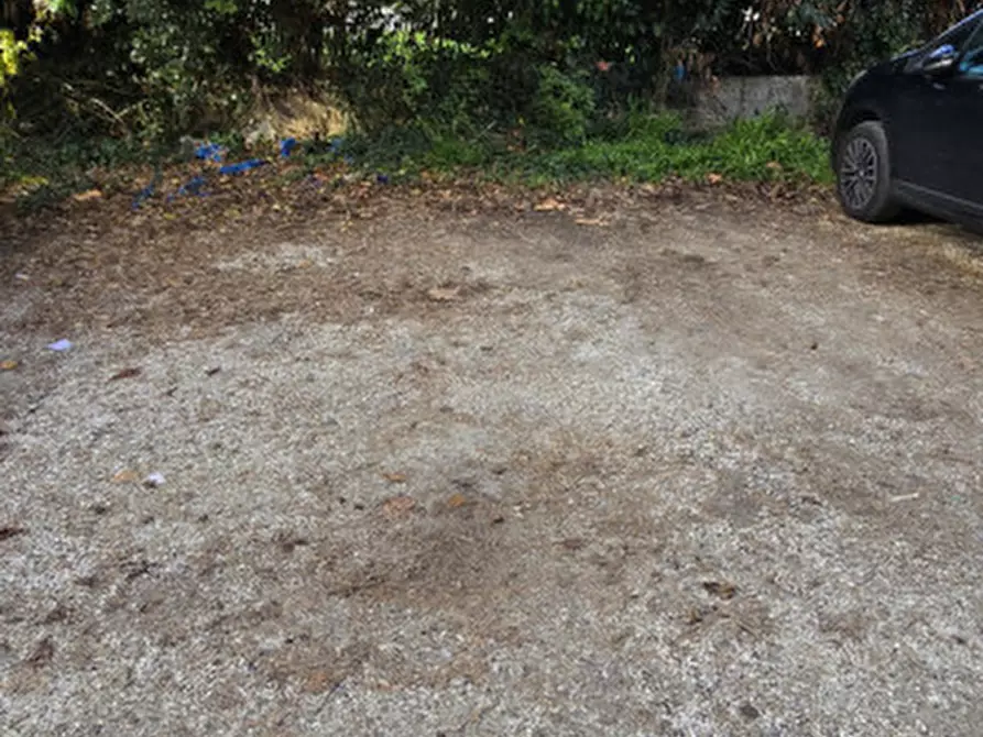 Immagine 19 di Appartamento in vendita  in Via Roma a Meldola