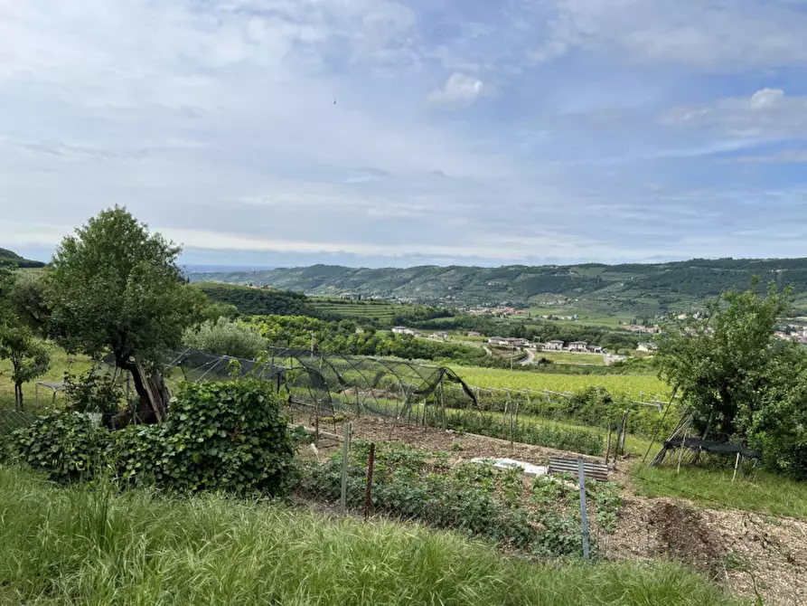 Immagine 5 di Rustico / casale in vendita  in via Cortivi 9 a Grezzana