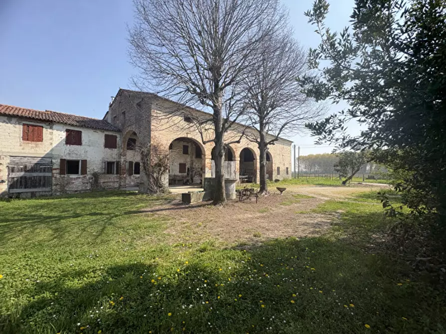 Immagine 2 di Terreno in vendita  in Via San Michele Arcangelo a Mestrino