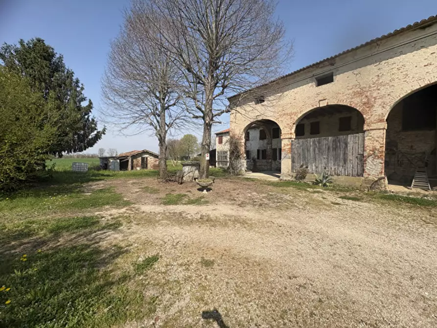 Immagine 3 di Terreno in vendita  in Via San Michele Arcangelo a Mestrino