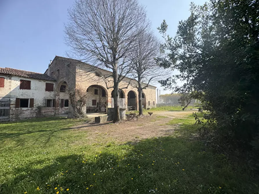 Immagine 7 di Terreno in vendita  in Via San Michele Arcangelo a Mestrino