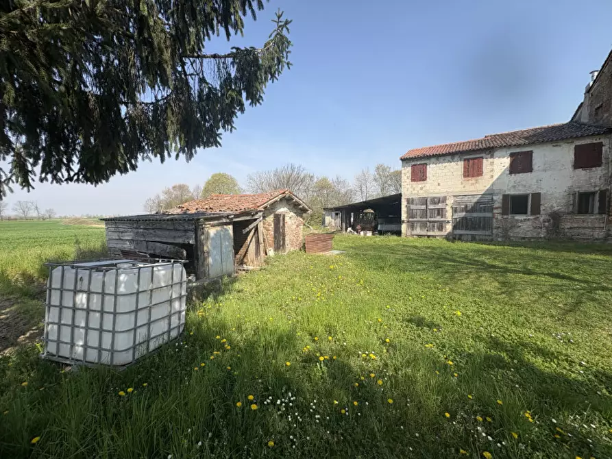 Immagine 8 di Terreno in vendita  in Via San Michele Arcangelo a Mestrino