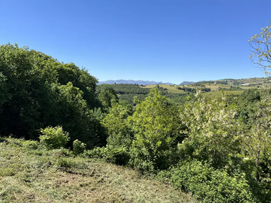 Immagine 7 di Casa bifamiliare in vendita  in via Pozze a Negrar di Valpolicella