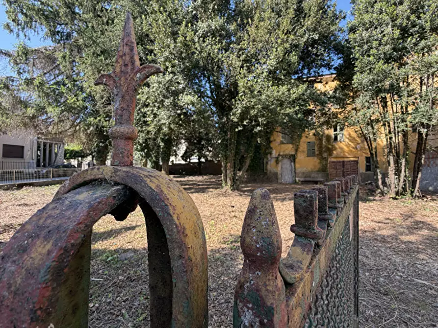 Immagine 13 di Villa in vendita  in Via Roma a Colorno