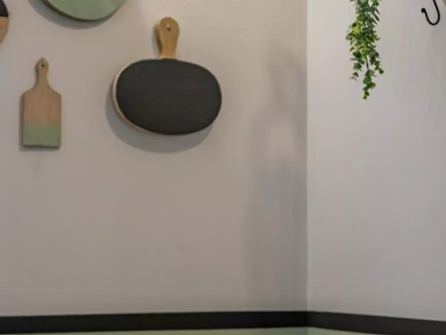 Immagine 12 di Attività commerciale in vendita  a Beverino