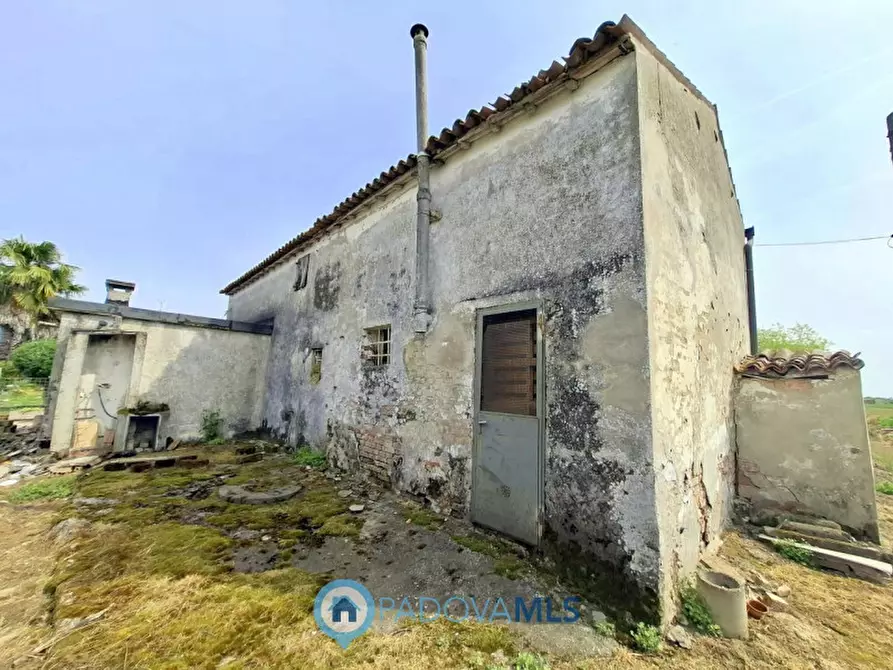 Immagine 3 di Casa indipendente in vendita  in Via Rovere a Masera' Di Padova